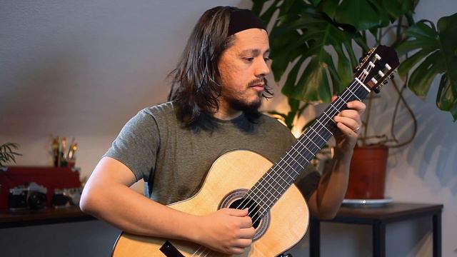 Classical Guitar   Fernando Sor   Op 60 Study No 11
