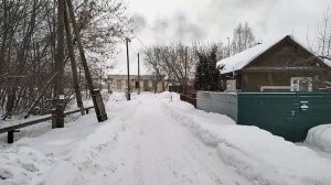 Тест чучела совы для охоты на ворону. Неожиданный результат !!!