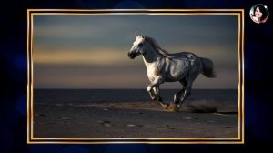 ВЕРНИ СВОЮ ЖИЗНЬ И ВЛАДЕЙ ЕЮ (лекция Сэма Вакнина)