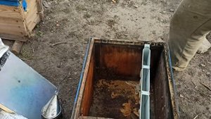 Пчеловодство для начинающих как пересадить пчелиную семью в новый улей. Пересадка пчел в новый улей