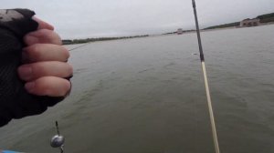 ДЖИГ-РИГ ЛОМАЕТ ОКУНЕЙ! ПОЛНОСТЬЮ! Рыбалка на Можайском водохранилище. Август 2019.