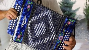 Шуйская Гармонь Чайка 314 ? Шуйская гармошка