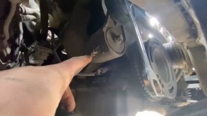 Opel Meriva /Astra /Zafara знамена ремня генератора