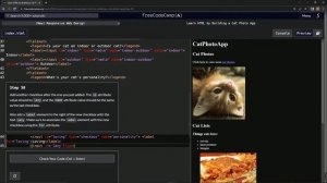 Learn HTML by Building a Cat Photo App - Step 58