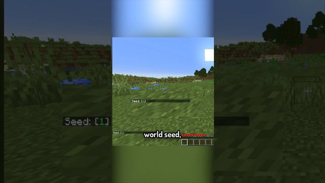 The Secret Minecraft Seed