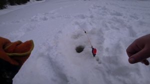 4 ДНЯ в ТАЁЖНОЙ ИЗБЕ! Пробились с боем до реки/Ловля крупного ХАРИУСА! Часть 1.