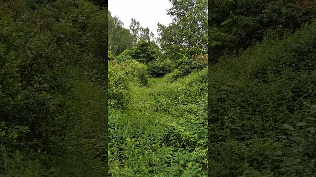 Поздравление Никите смотреть онлайн