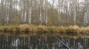 Рыбалка на "Сокольих озерах" поздней осенью.