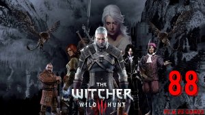 The Witcher 3 Wild Hunt Part 88