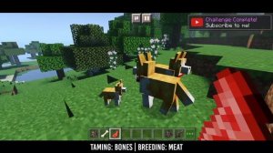 Domestic Craft Addon Mcpe || More Mobs Mod || Minecraft Pe Mod Showcase