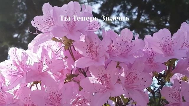 Запреты на 9 Мая. Что нельзя делать. Народные приметы