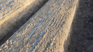 Капельный полив на землянике и высоких грядках.