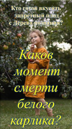 Каков момент смерти белого карлика?