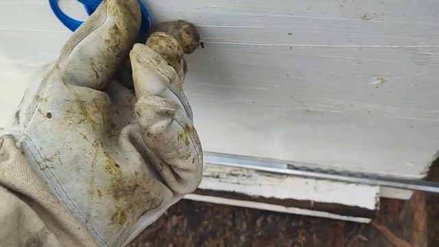 Срочно обращение к пчеловодам. Нужен совет... Видио без монтажа, извиняюсь смотреть онлайн