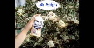 Колоризированная старая реклама RAID убийца насекомых 4k 60fps