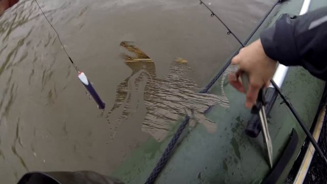 Щуки Ямала с Александром Стафиевским (часть 1). Big nothern pike fishing. DF 30 смотреть онлайн