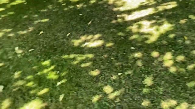 Удобный и эффективный способ подкормки плодовых деревьев