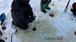 Сазан на Смык Рыбалка на Сазана Поисковый Магнит F400 двухсторонний