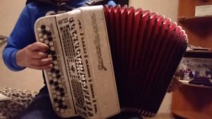Баян ясная поляна 55/100