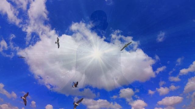 Рожденье в Высшее Доверие смотреть онлайн