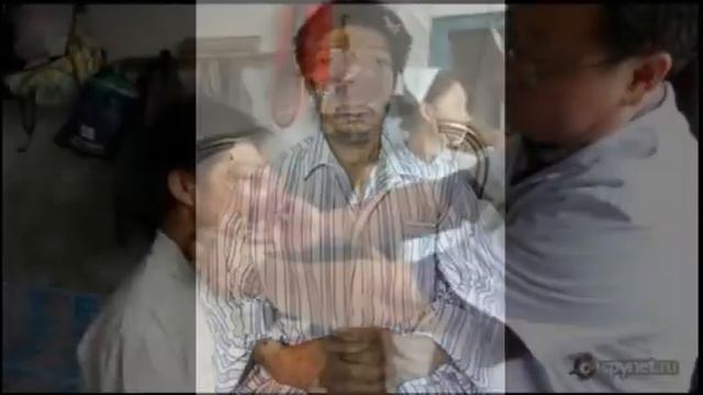 the biggest nose in the world horror самый большой нос в мире ужас смотреть онлайн