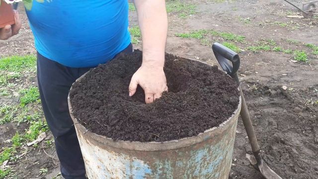 ВЫСАЖИВАЮ ПЕТУНИЮ В БОЧКУ 200 ЛИТРОВ. смотреть онлайн