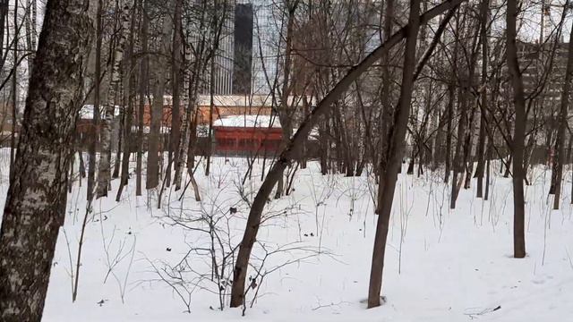 Живем  в новом 2023 году / Январь продолжается / Часть вторая