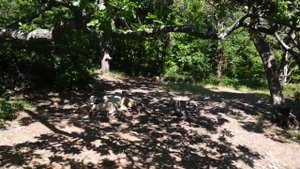 Большой Утриш и его природа, вторая лагуна на Утрише, Кемпинг отдых на черном море, заповедник