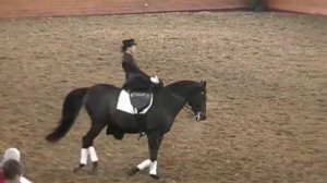 Езда в дамском седле : русский верховой "Абрек и Мария"