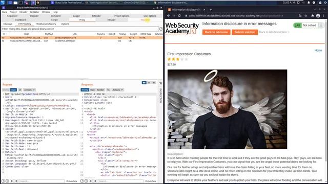 Information disclosure in error messages (Video solution, Audio) смотреть онлайн