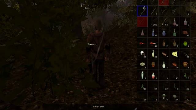 Gothic 2 Global Mod эпизод 25 (Пещера с гоблинами) смотреть онлайн