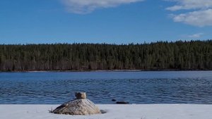 Рыбалка  на  Кольском полуострове.  В поиске весенней кумжи. Река Пиренга.