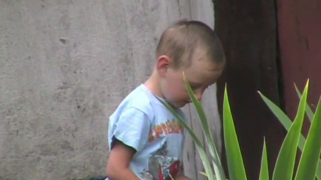 Morning View in Rostov смотреть онлайн