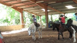 Carolina fait des tours sur son cheval blanc