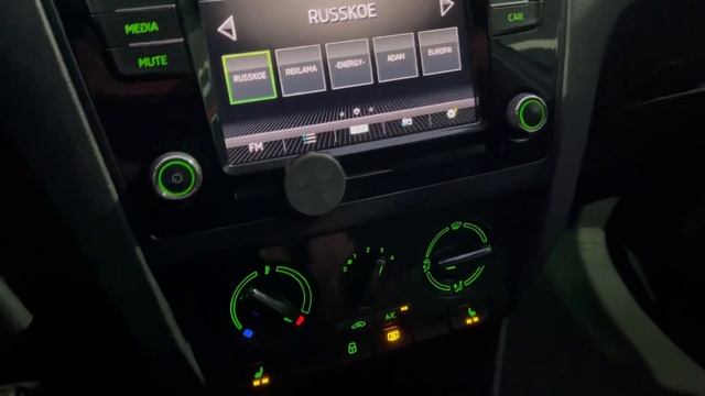 Мини обзор-Skoda Rapid 2018г. смотреть онлайн