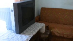 Дача в Щёлкино №7