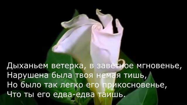 Константин Бальмонт - Ты мне понравилась так сразу