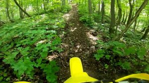 Новичок на эндуро Yamaha dt230 Lanza. Suzuki ts200r.