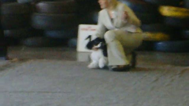 Жемчужина Востока Ласковый Май - ЛБ смотреть онлайн