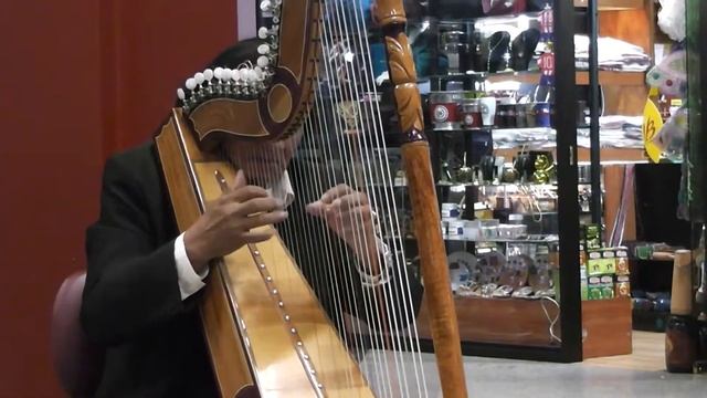 Panasonic HDC-SD40 - Américo Cañete - Airport Harpist (3) смотреть онлайн