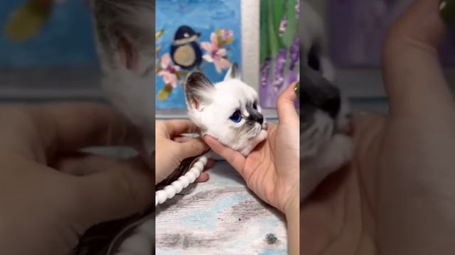 Зачем эти нитки? смотреть онлайн