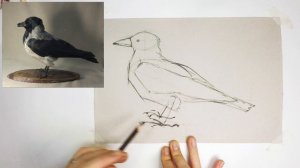 Зарисовка чучела вороны.mp4