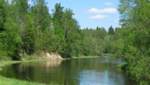 А по над рекой стелится туман ... Дмитрий Певцов