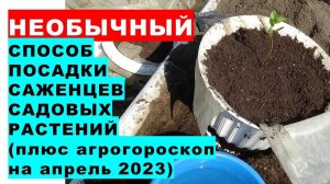 Необычный способ посадки саженцев садовых растений с агрогороскопом посадки растений  на апрель 2023