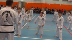 Тхэквандо (аттестация на белый пояс)