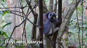 6 сынып. 3 тоқсан. Тірі организмдерге тән процестер