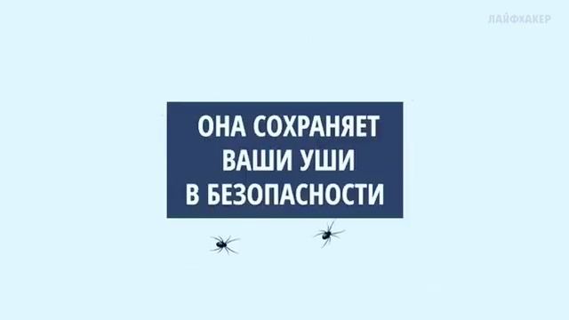 Почему нельзя уши чистить ватной палочкой смотреть онлайн