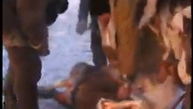 CACCIATORI DI RENNE EUROPA -REINDEER -Rangifer tarandus смотреть онлайн