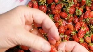 Как приготовить вкусное варенье из виктории? Варим Викторию на зиму.