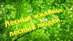 Отшельники Набрёл на таёжные  жилища. В поисках лодки отшельника.Лесные избы..